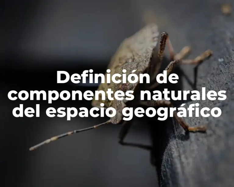 Definición de componentes naturales del espacio geográfico