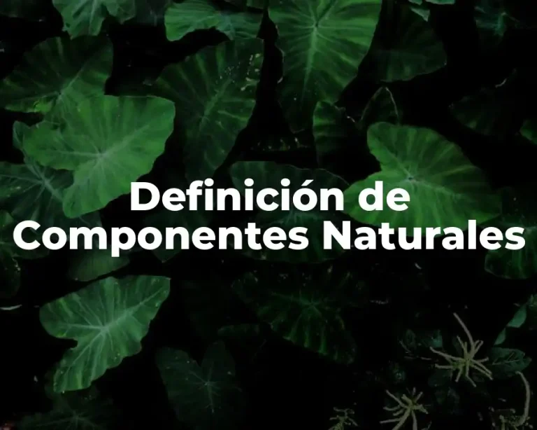 Definición de Componentes Naturales