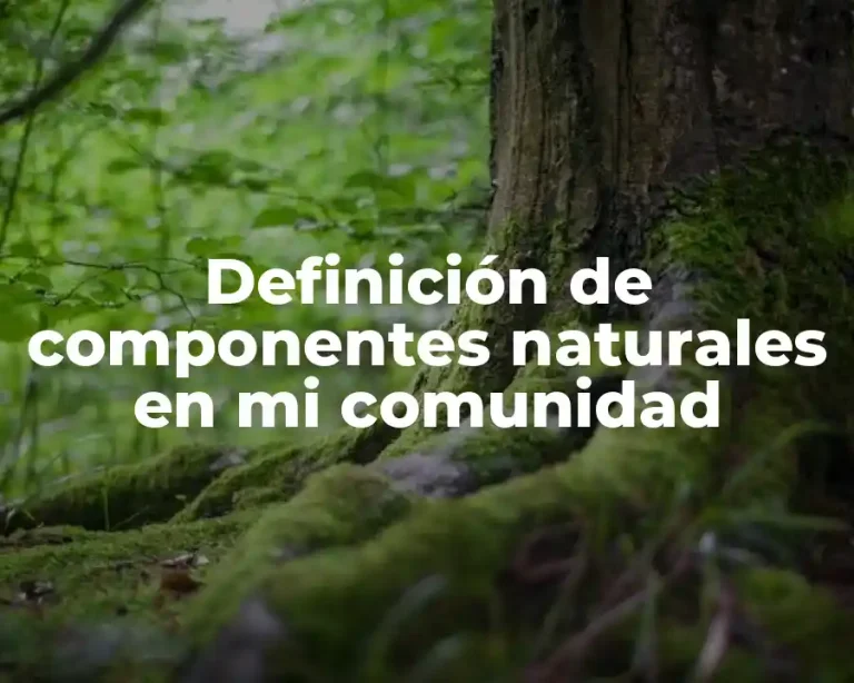 Definición de componentes naturales en mi comunidad