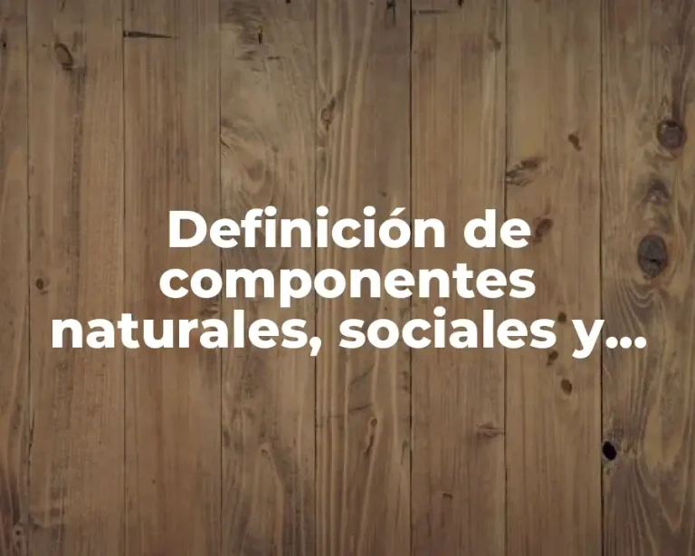 Definición de componentes naturales, sociales y económicos del espacio geográfico