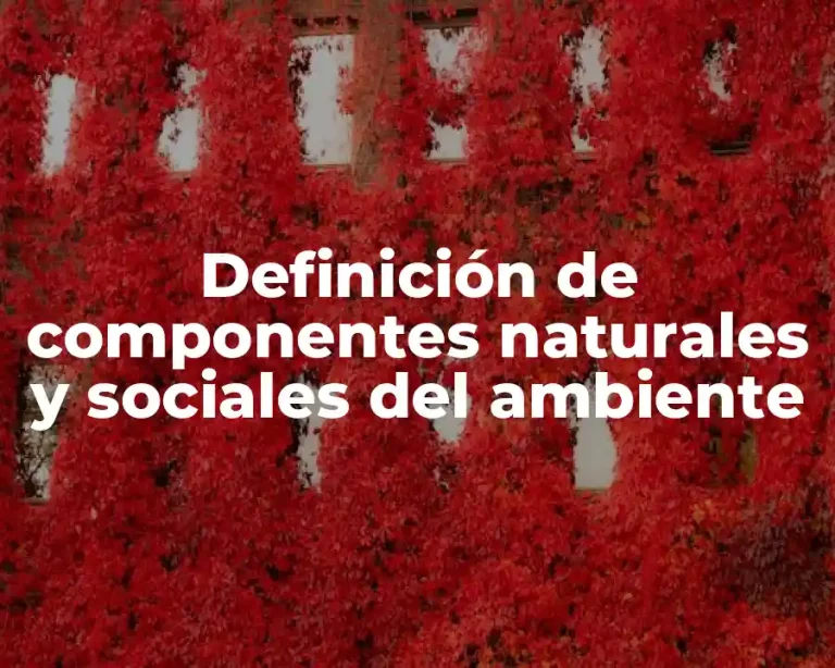 Definición de componentes naturales y sociales del ambiente
