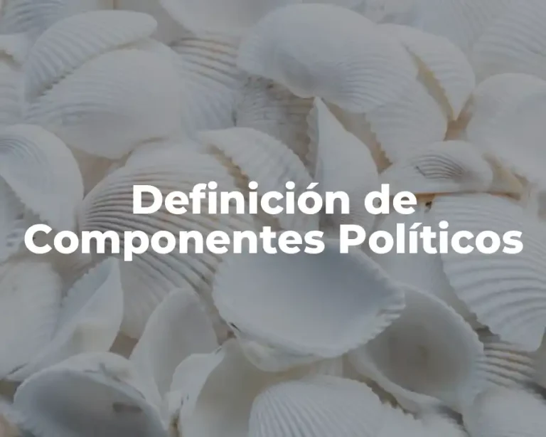 Definición de Componentes Políticos