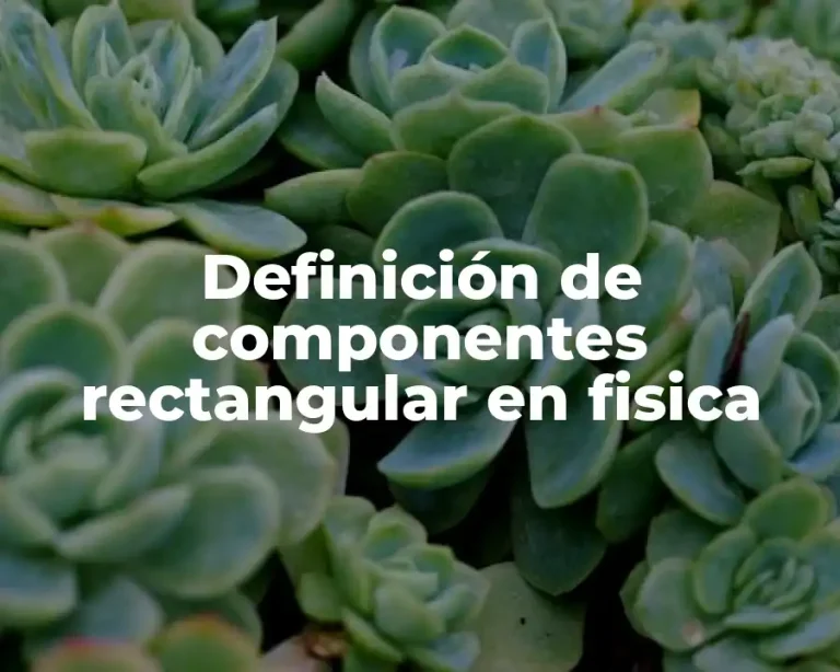 Definición de componentes rectangular en fisica