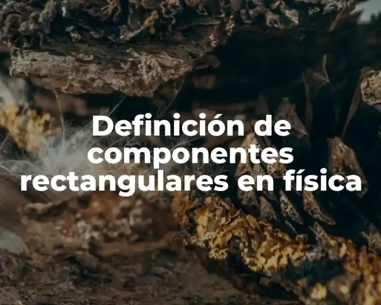 Definición de componentes rectangulares en física