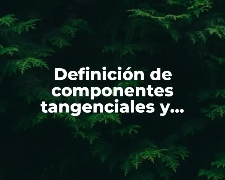Definición de componentes tangenciales y normales