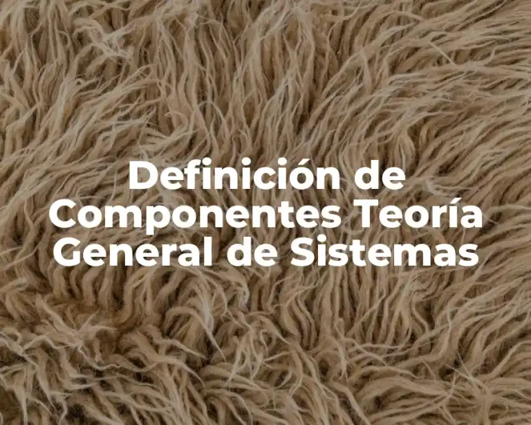 Definición de Componentes Teoría General de Sistemas