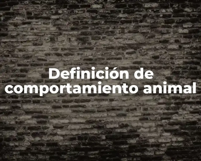 Definición de comportamiento animal