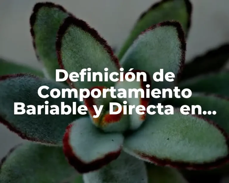 Definición de Comportamiento Bariable y Directa en Matemáticas
