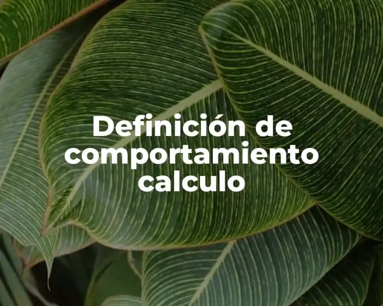 Definición de comportamiento calculo