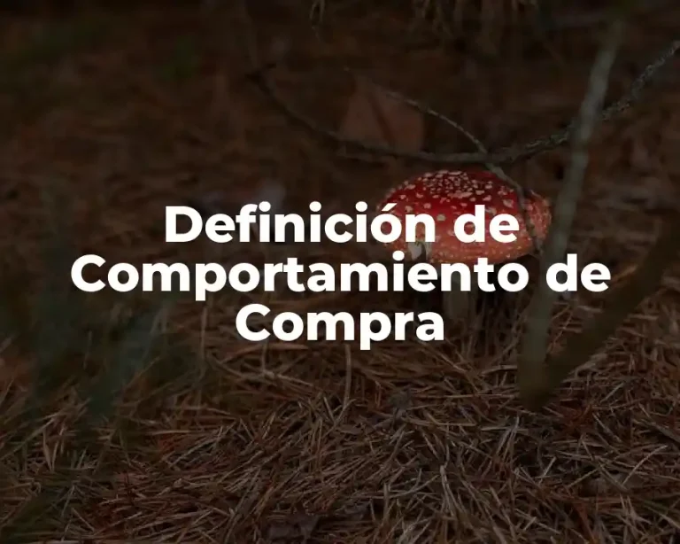 Definición de Comportamiento de Compra