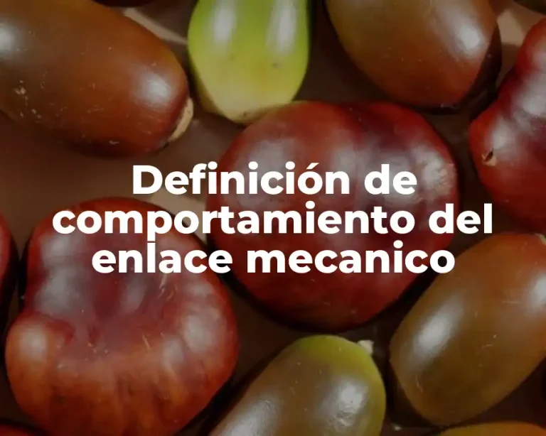 Definición de comportamiento del enlace mecanico