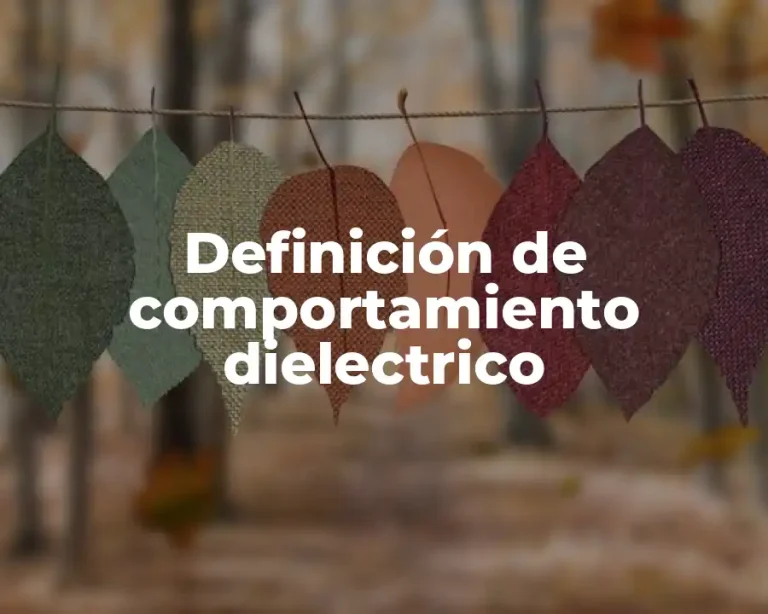 Definición de comportamiento dielectrico