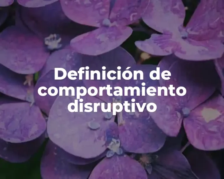 Definición de comportamiento disruptivo