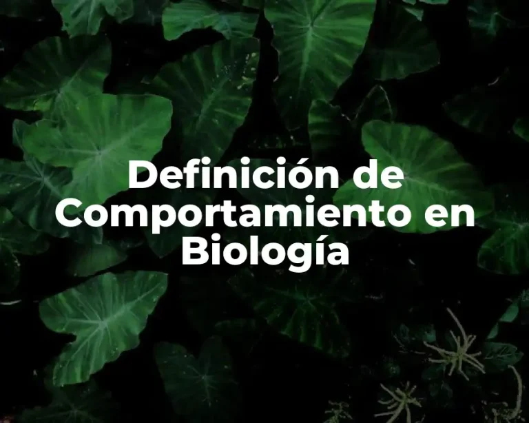 Definición de Comportamiento en Biología