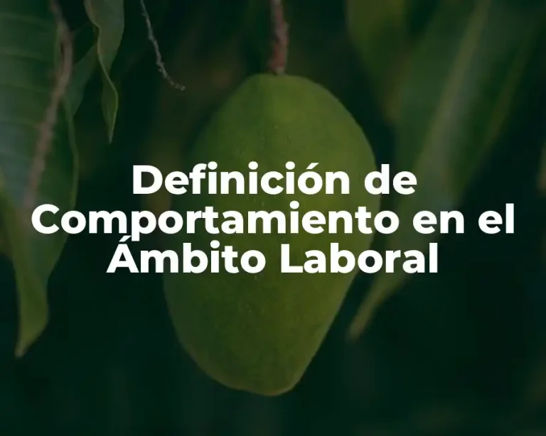 Definición de Comportamiento en el Ámbito Laboral