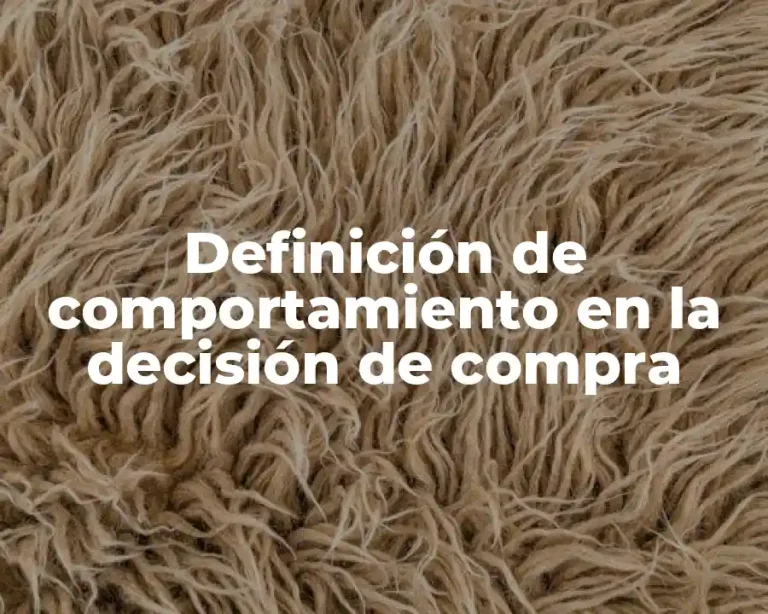Definición de comportamiento en la decisión de compra