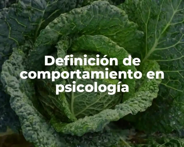 Definición de comportamiento en psicología