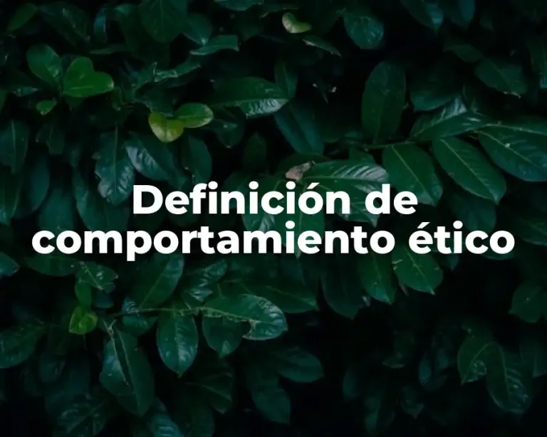 Definición de comportamiento ético