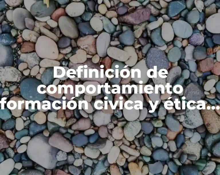 Definición de comportamiento formación civica y ética secundaria