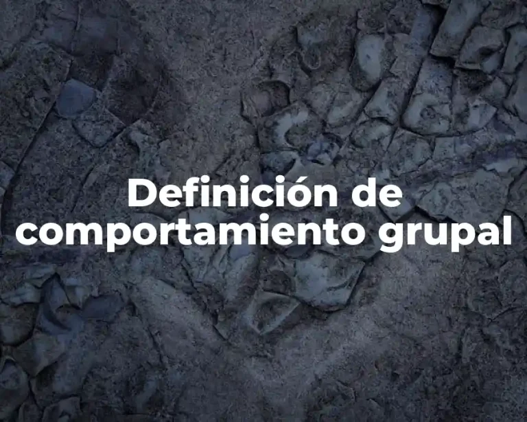 Definición de comportamiento grupal