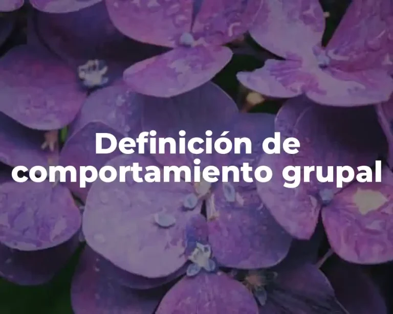 Definición de comportamiento grupal