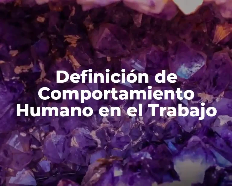 Definición de Comportamiento Humano en el Trabajo