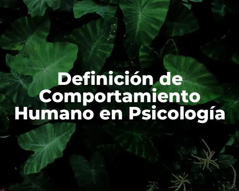 Definición de Comportamiento Humano en Psicología
