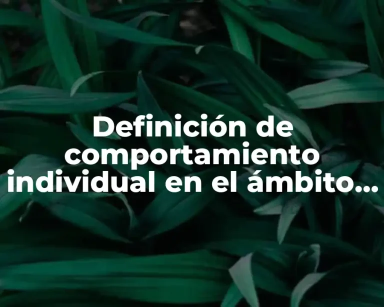 Definición de comportamiento individual en el ámbito laboral