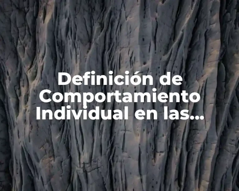 Definición de Comportamiento Individual en las Organizaciones
