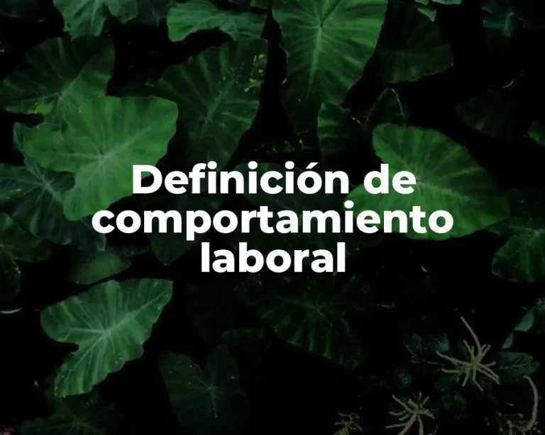 Definición de comportamiento laboral