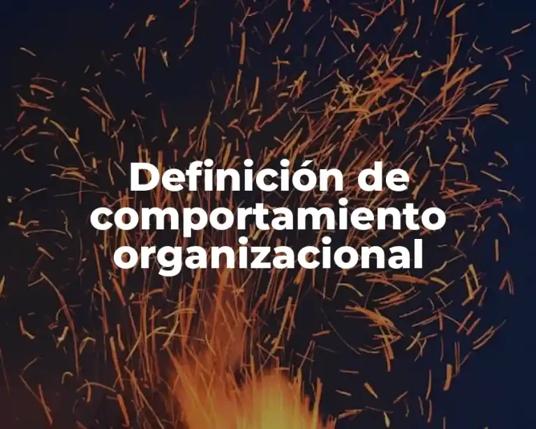 Definición de comportamiento organizacional