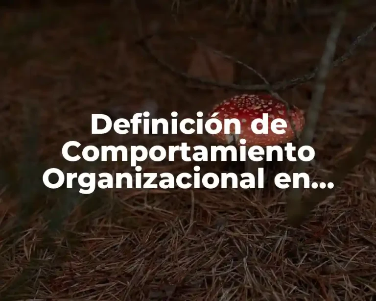 Definición de Comportamiento Organizacional en Psicología