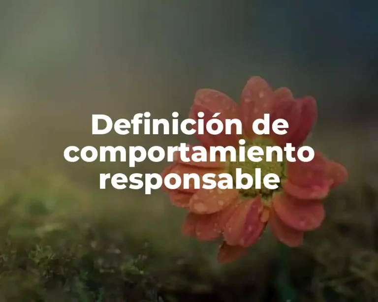Definición de comportamiento responsable