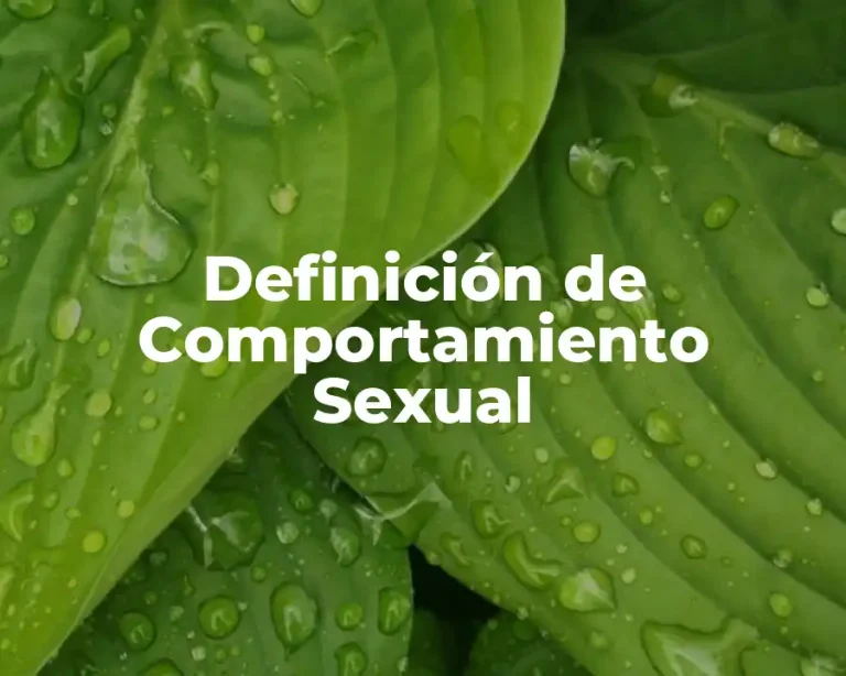Definición de Comportamiento Sexual