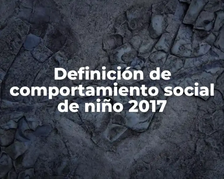 Definición de comportamiento social de niño 2017
