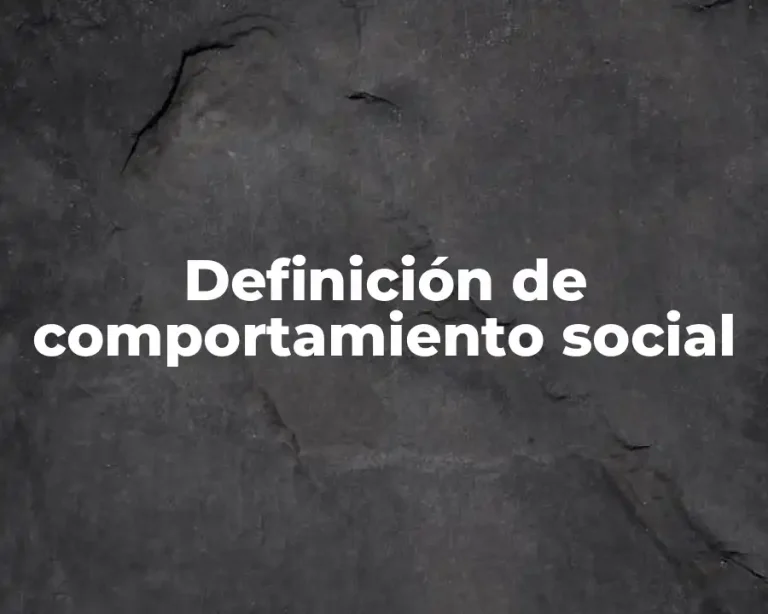 Definición de comportamiento social