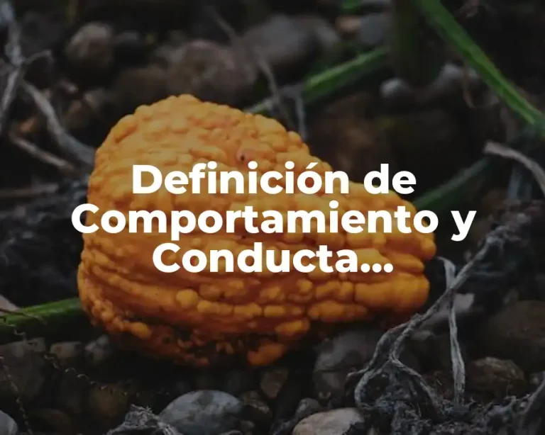 Definición de Comportamiento y Conducta Organizacional