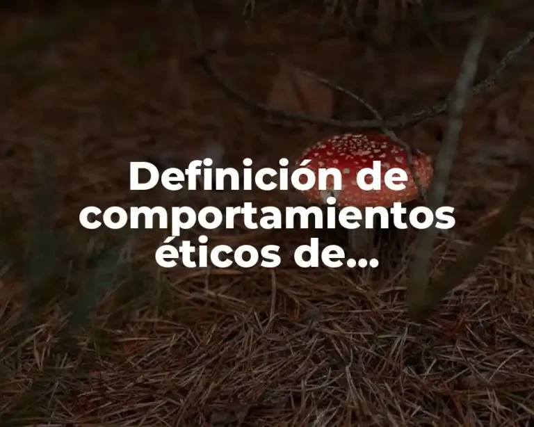 Definición de comportamientos éticos de responsabilidad