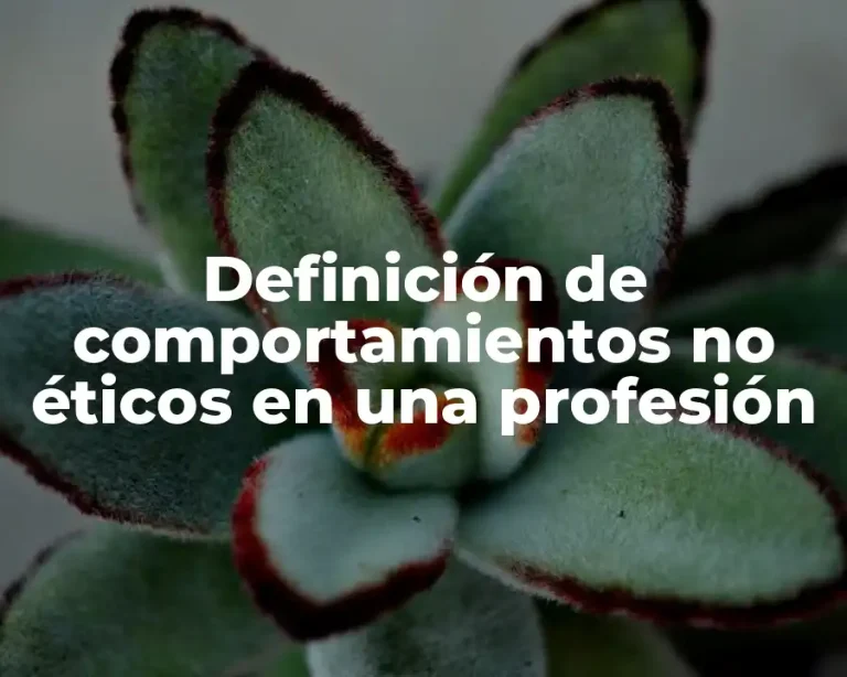 Definición de comportamientos no éticos en una profesión
