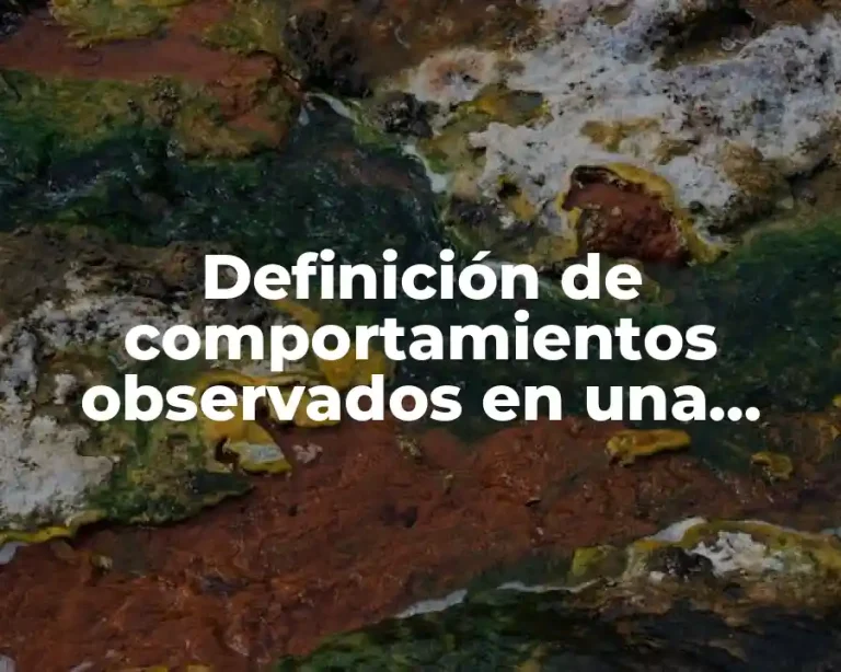 Definición de comportamientos observados en una competencia