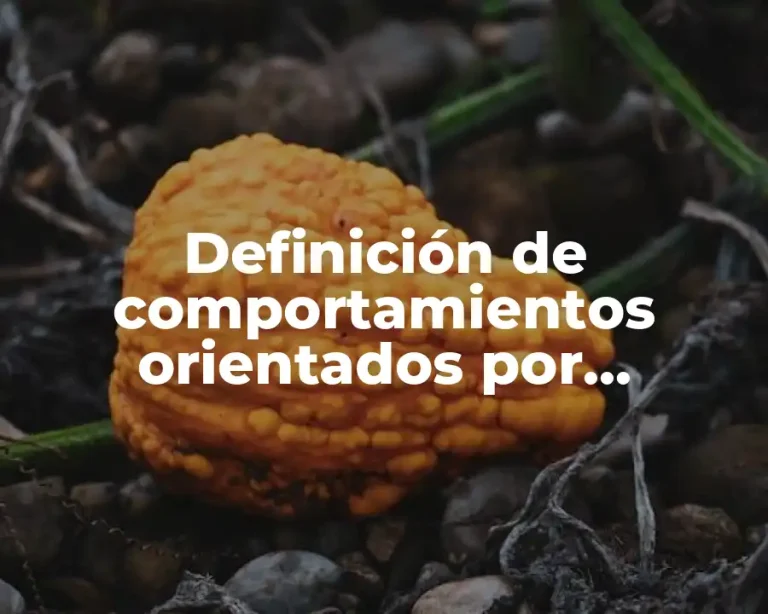 Definición de comportamientos orientados por emociones