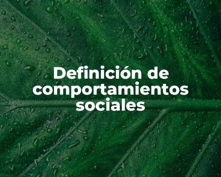 Definición de comportamientos sociales