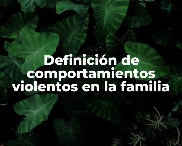 Definición de comportamientos violentos en la familia