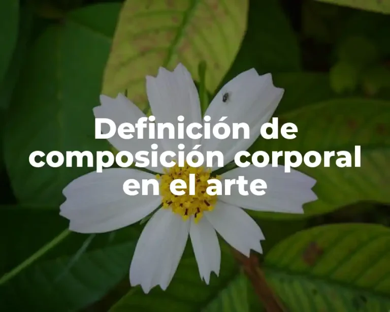 Definición de composición corporal en el arte