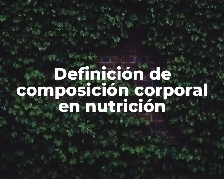 Definición de composición corporal en nutrición