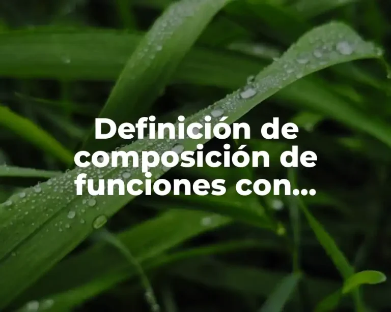 Definición de composición de funciones con comprobación