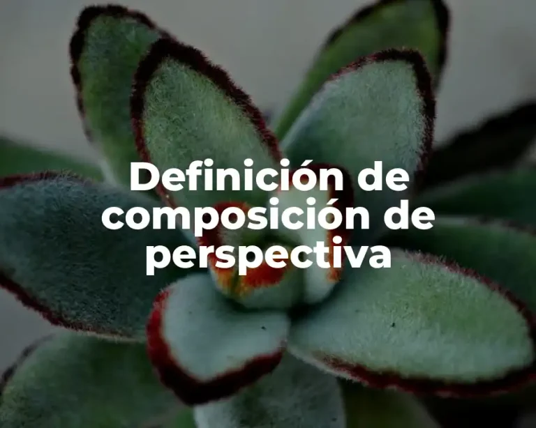 Definición de composición de perspectiva