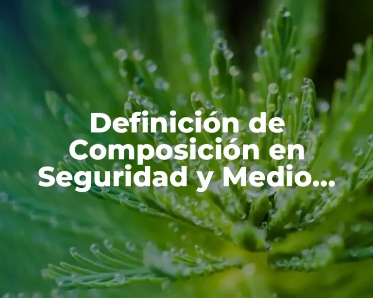 Definición de Composición en Seguridad y Medio Ambiente
