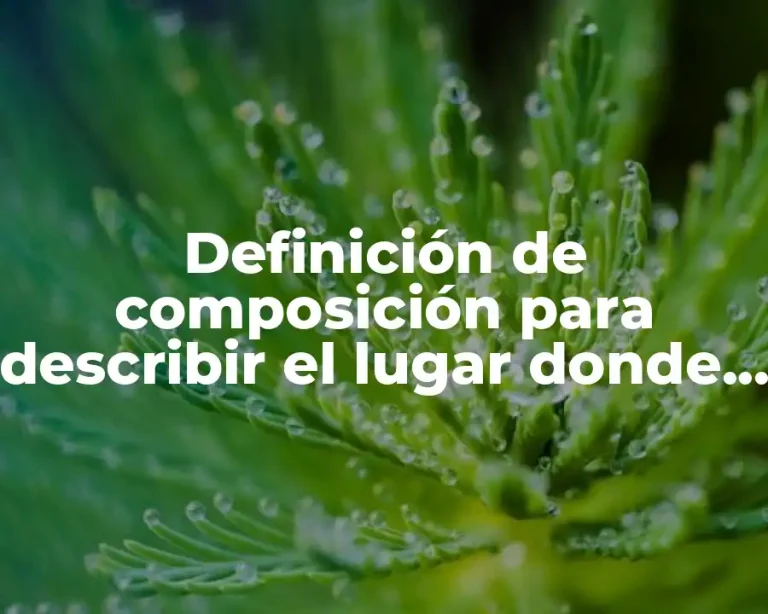 Definición de composición para describir el lugar donde vives