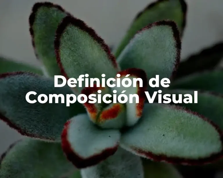 Definición de Composición Visual